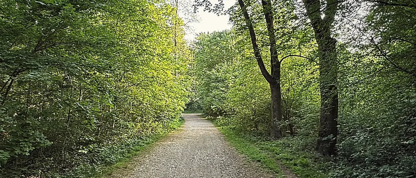 Hundetraining in Nymphenburg München – mobile Hundetrainerin